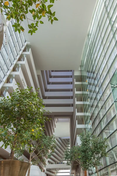 O interior do centro comercial com plantas — Fotografia de Stock