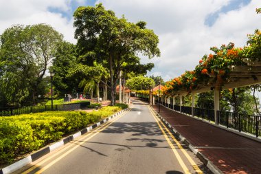 Parktaki asfalt yolda.