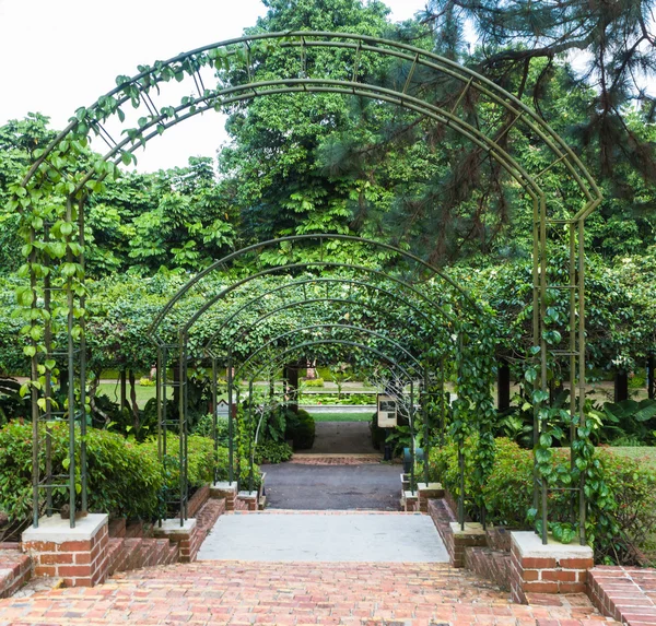 Arcos con plantas —  Fotos de Stock