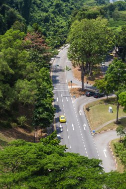 Ormanın ortasında asfalt yol