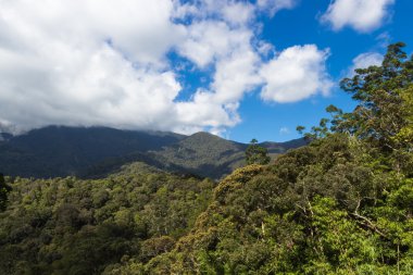 Orman ve bulutlu gökyüzü ile Dağları