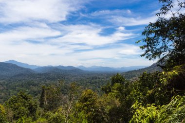 Orman ve bulutlu gökyüzü ile Dağları 