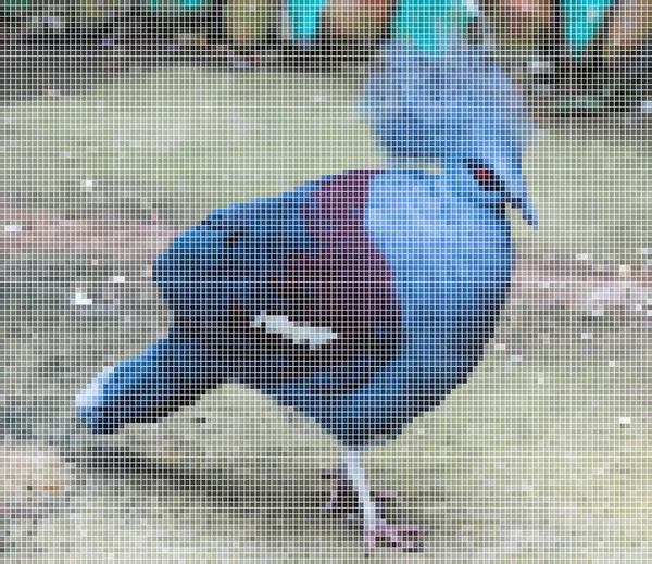 Квадратна мозаїка з фото блакитного птаха — стоковий вектор