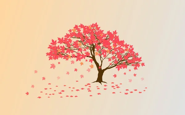Autumn Japanese maple Royalty Free Stock Vectors