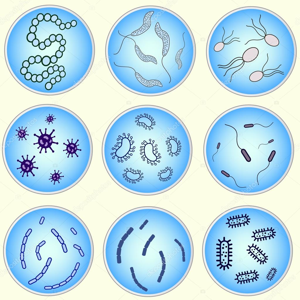 stylized image of bacteria