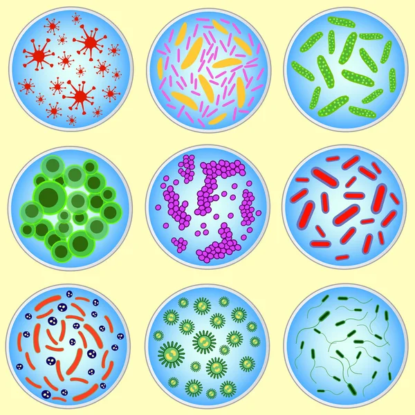 Gambar bergaya dari bakteri berwarna - Stok Vektor