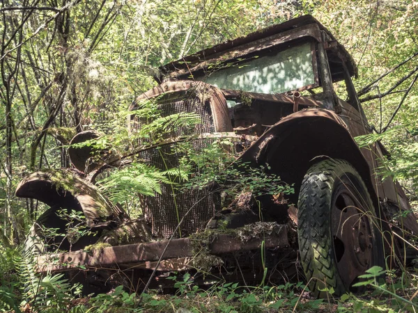 Velho caminhão Vintage enferrujado abandonado na floresta — Fotografia de Stock