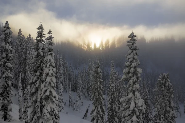 Ridgeline de forêt de montagne enneigée avec coucher de soleil haineux et rayons de lumière dans les arbres brumeux — Photo