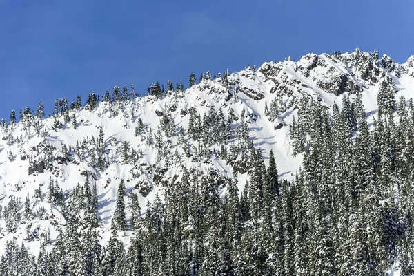 Powder Covered Winter Forest Landscape with Snow on Cliffs of Mountain Ridge — Stock Photo, Image