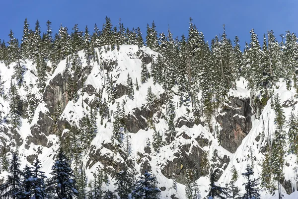 Zonnige dag blauwe hemel boven poeder bedekt winter landschap met sneeuw op Rocky C — Stockfoto