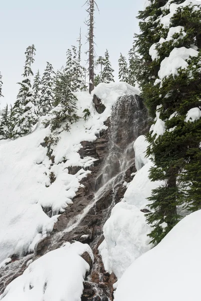 Paysage forestier de montagne enneigé avec cascade d'hiver — Photo