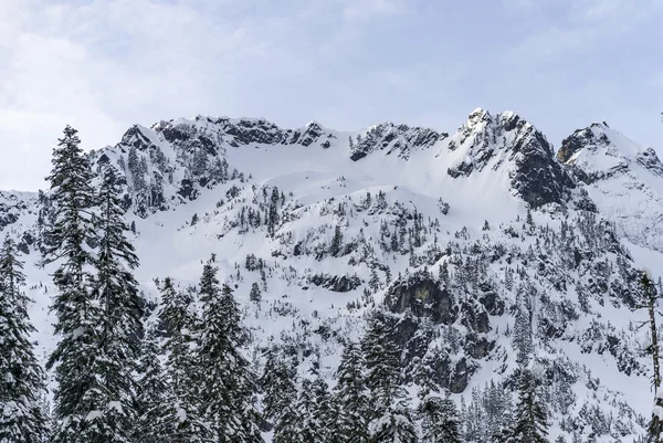 Crête de montagne enneigée d'hiver avec falaises rocheuses sur le sommet du sommet — Photo