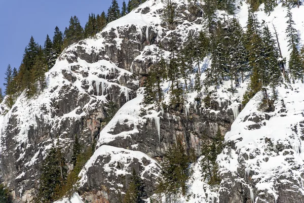 Neige hivernale et glace sur les falaises montagneuses dans la forêt couverte de poudres sur ensoleillée — Photo
