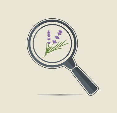 Lavanta magnifiyng cam altında.