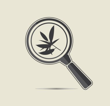 Ylang ylang araştırma simgesi.