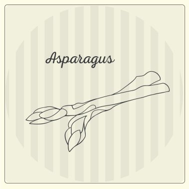 Kuşkonmaz. Vektör hat illüstrasyon. Kroki, doodle. 