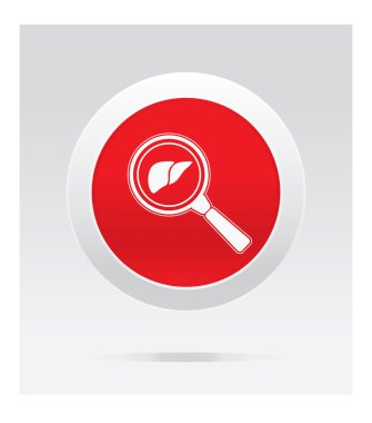 Karaciğer. Tıbbi simge.