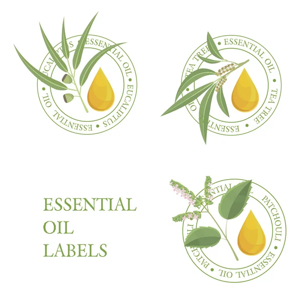 Essential oils labels: tea tree, eucalyptus,patchouli. — Stock Vector