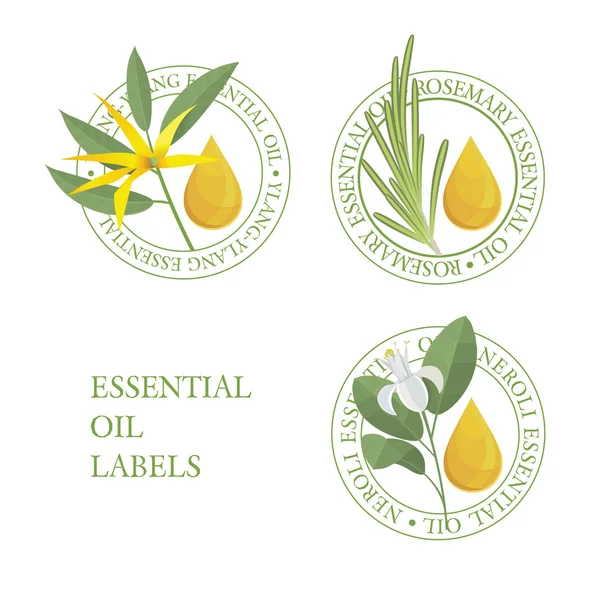 Set of essential oils labels — Stock Vector