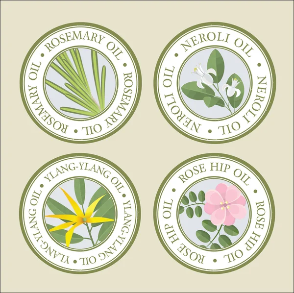 Set of essential oils labels — Stock Vector