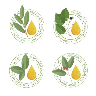 Set of  essential oil labels. clipart