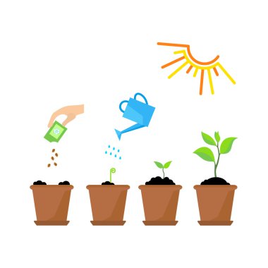 Zaman çizelgesi Infographic ağaç işlem dikim