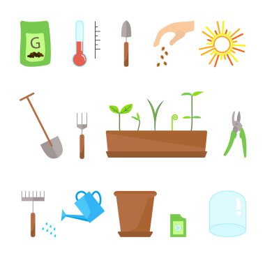 Zaman çizelgesi Infographic ağaç işlem dikim