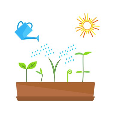 Zaman çizelgesi Infographic ağaç işlem dikim