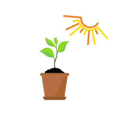 Zaman çizelgesi Infographic ağaç işlem dikim