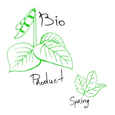 doğal ürünler kroki