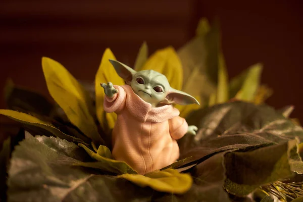 Kasım 2020: Yeşil yaprakların üzerinde duran oyuncak bebek Yoda 'nın görüntüsü