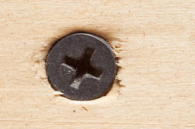 Tahtadaki demir çelik vida. Yüksek kalite fotoğraf