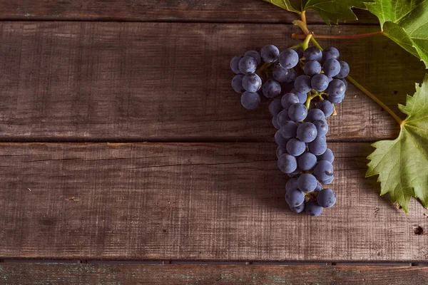 Donkerblauwe Druivensoort Een Houten Tafel Hoge Kwaliteit Foto — Stockfoto