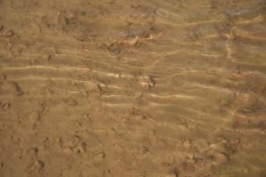 Kumsal. Nehir kumu. Nehirde küçük dalgalar. Yüksek kalite fotoğraf