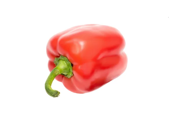 Zoete rode paprika. Verse paprika geïsoleerd op wit — Stockfoto