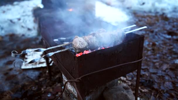 Barbacoa a la plancha shish kebab shashlik — Vídeos de Stock