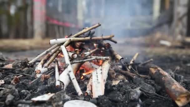 Fuoco ardente campeggio nella notte, stelle cielo sfondo — Video Stock