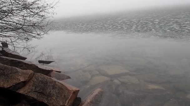 Gros plans Pluie à la surface de l'eau — Video