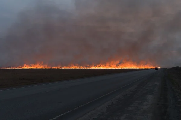 Grande fogo vermelho no campo de grama seca — Fotografia de Stock