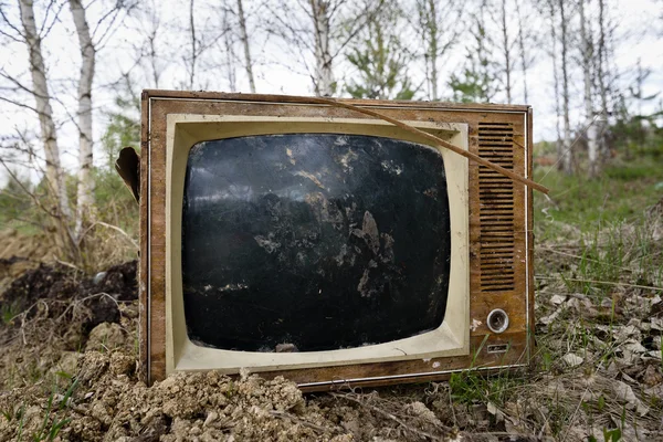 Old analog discarded television set in the forest — Stock Photo, Image