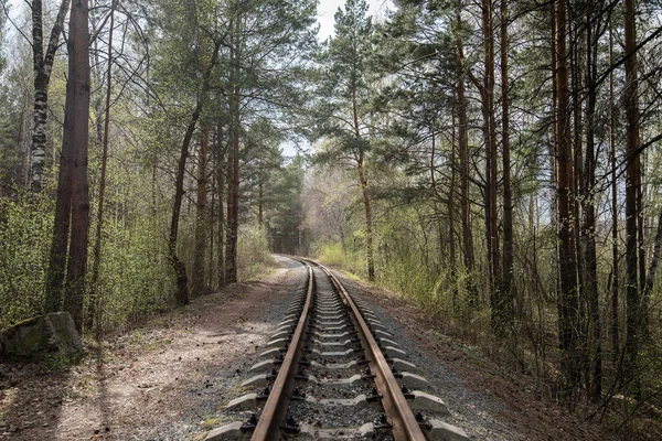 Old rail road in green forest summer — Stock Photo, Image
