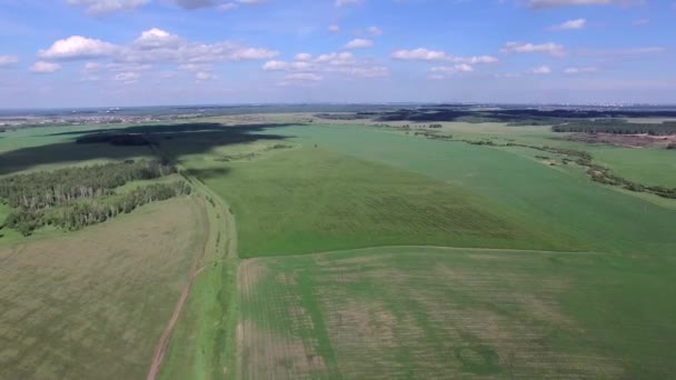 Letecký pohled na letní krajinu s zemědělské zelenými poli — Stock video