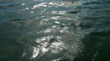 Dev dalgalar yüksek rüzgarlar tarafından tahrik kırma