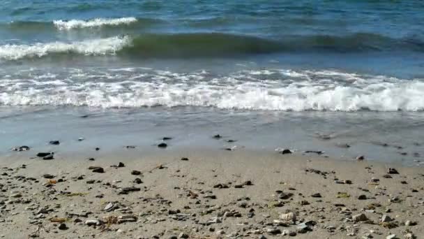 Dolci onde che arrivano su una spiaggia tropicale — Video Stock