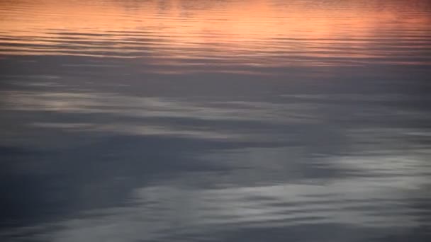 Wasseroberfläche eines Meeres am Abend — Stockvideo
