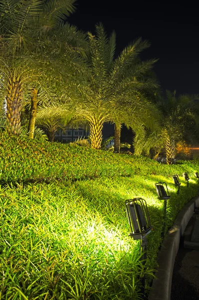 Lâmpadas e jardim cena noite — Fotografia de Stock