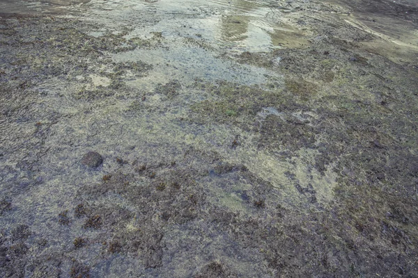 Вода на кораловому рифі з відображенням — стокове фото