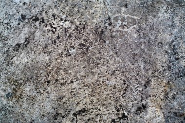 Eskimiş Beton Yüzeyde Koyu Küf Lekeleri