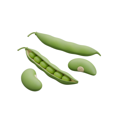 Kabuklardaki Taze Yeşil Bezelyelerin 3B Hazırlanması