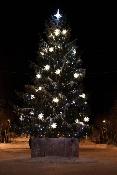 Şehirde gece vakti parlak ışıkları olan Noel ağacı.